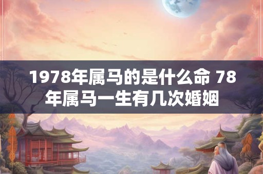 1978年属马的是什么命 78年属马一生有几次婚姻