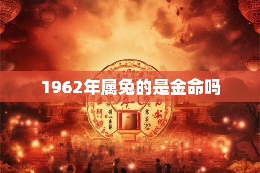 1962年属兔的是金命吗 1962年属兔的是金命吗