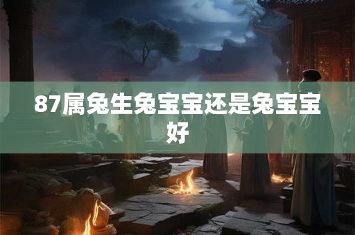 87属兔生兔宝宝还是兔宝宝好