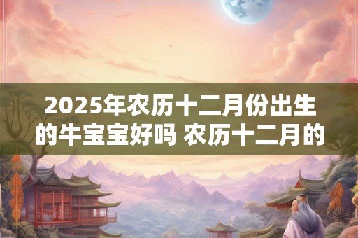 2025年农历十二月份出生的牛宝宝好吗 农历十二月的牛宝宝好吗