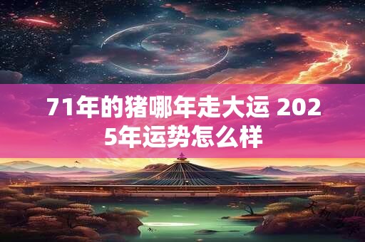 71年的猪哪年走大运 2025年运势怎么样