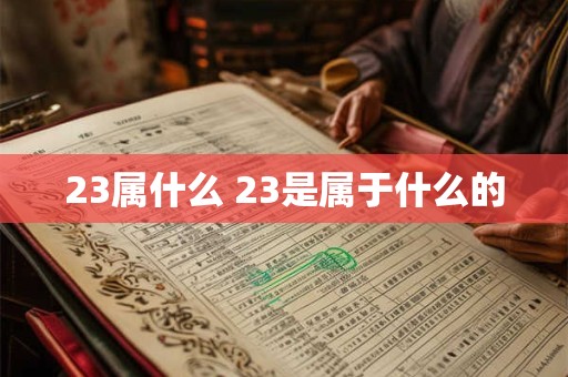 23属什么 23是属于什么的
