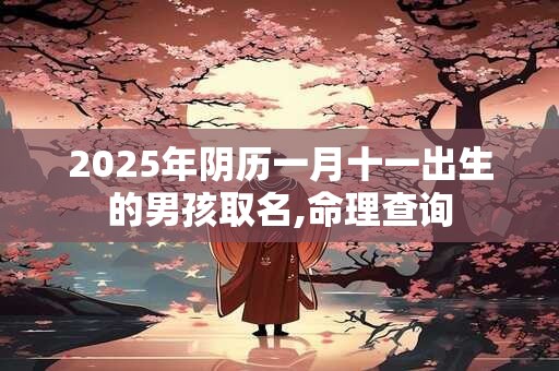 2026年阴历一月十一出生的男孩取名,命理查询