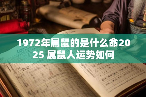 1972年属鼠的是什么命2025 属鼠人运势如何