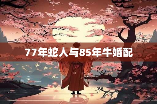 77年蛇人与85年牛婚配