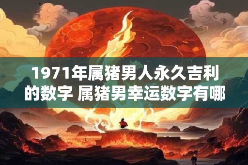 1971年属猪男人永久吉利的数字 属猪男幸运数字有哪些