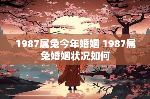 1987属兔今年婚姻 1987属兔婚姻状况如何