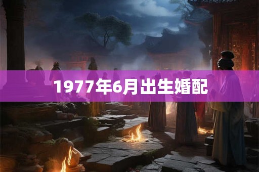1977年6月出生婚配