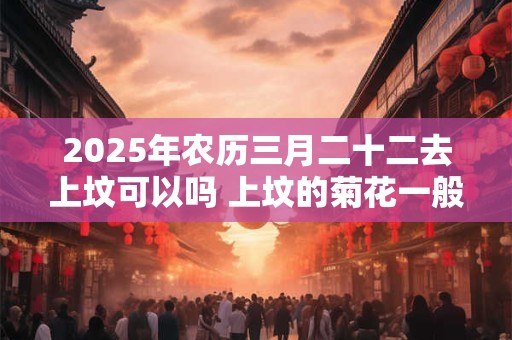 2025年农历三月二十二去上坟可以吗 上坟的菊花一般是什么品种 2025年农历三月二十二去上坟可以吗 上坟的菊花一般是什么品种