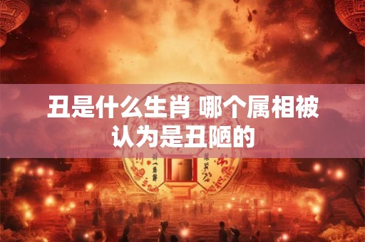 丑是什么生肖 哪个属相被认为是丑陋的