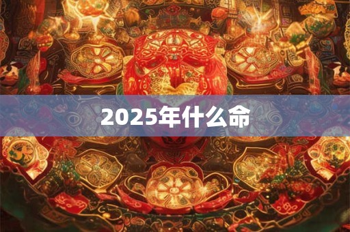 2025年什么命