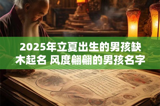 2025年立夏出生的男孩缺木起名 风度翩翩的男孩名字