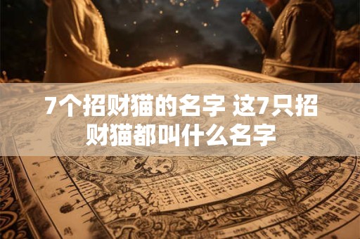 7个招财猫的名字 这7只招财猫都叫什么名字