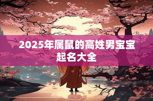 2025年属鼠的高姓男宝宝起名大全