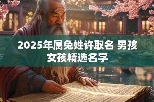 2025年属兔姓许取名 男孩女孩精选名字