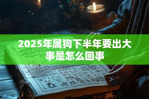 2025年属狗下半年要出大事是怎么回事