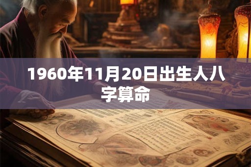 1960年11月20日出生人八字算命