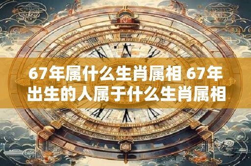67年属什么生肖属相 67年出生的人属于什么生肖属相