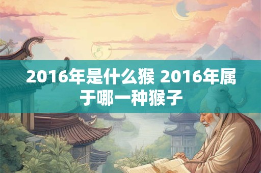 2016年是什么猴 2016年属于哪一种猴子