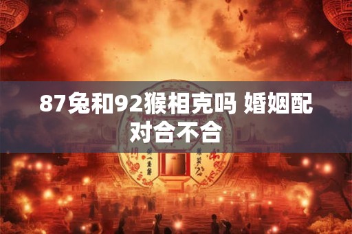 87兔和92猴相克吗 婚姻配对合不合