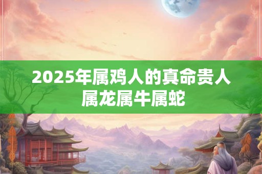 2025年属鸡人的真命贵人 属龙属牛属蛇