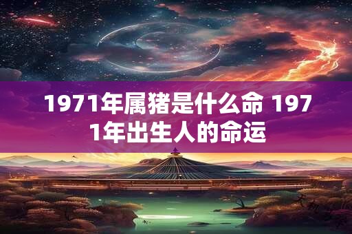 1971年属猪是什么命 1971年出生人的命运