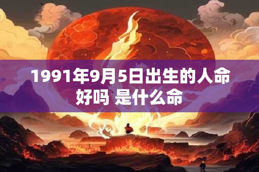 1991年9月5日出生的人命好吗 是什么命