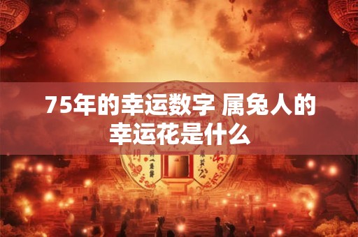 75年的幸运数字 属兔人的幸运花是什么