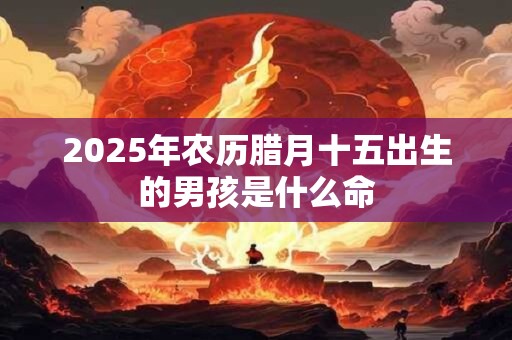 2025年农历腊月十五出生的男孩是什么命