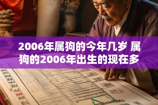 2006年属狗的今年几岁 属狗的2006年出生的现在多少岁