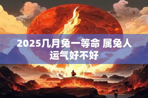 2025几月兔一等命 属兔人运气好不好