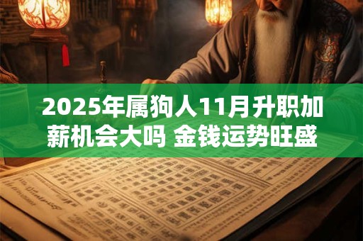 2025年属狗人11月升职加薪机会大吗 金钱运势旺盛