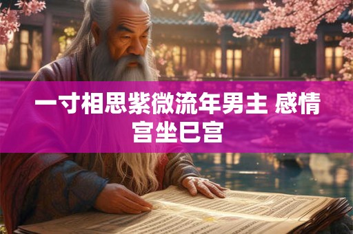 一寸相思紫微流年男主 感情宫坐巳宫