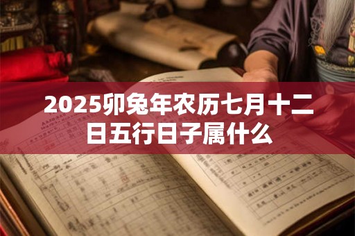 2025卯兔年农历七月十二日五行日子属什么