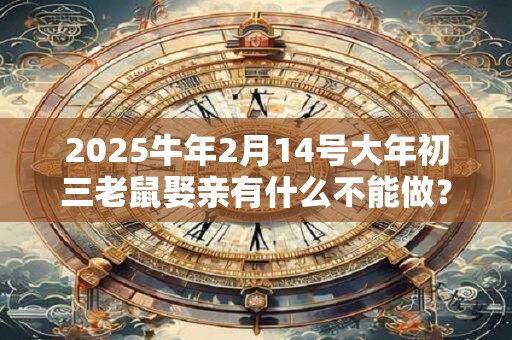 2025牛年2月14号大年初三老鼠娶亲有什么不能做？