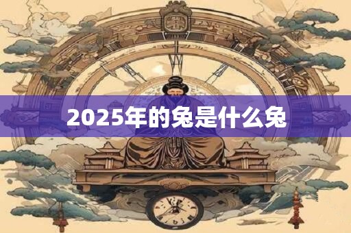 2025年的兔是什么兔