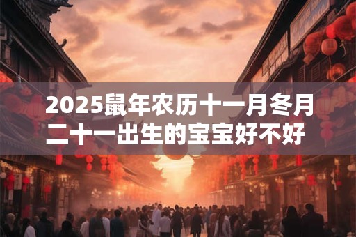 2025鼠年农历十一月冬月二十一出生的宝宝好不好 五行缺什么