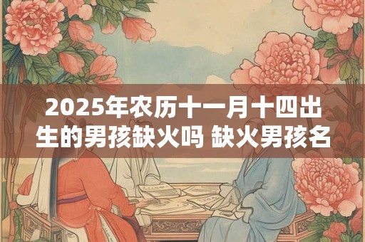 2025年农历十一月十四出生的男孩缺火吗 缺火男孩名字用的字
