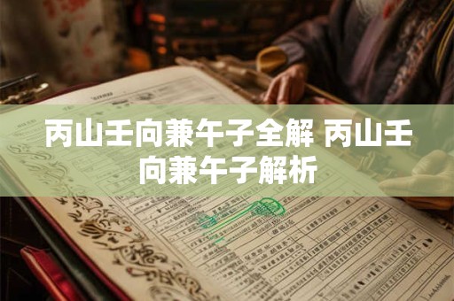 丙山壬向兼午子全解 丙山壬向兼午子解析