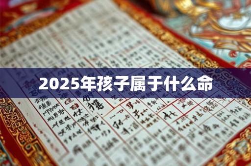2025年孩子属于什么命