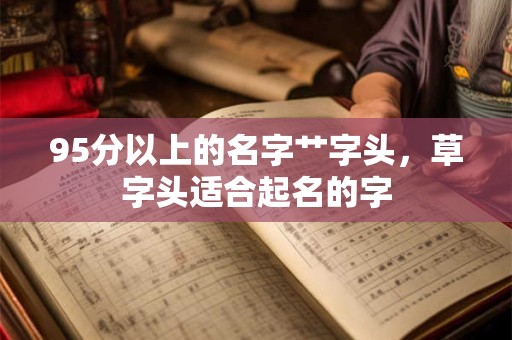 95分以上的名字艹字头，草字头适合起名的字