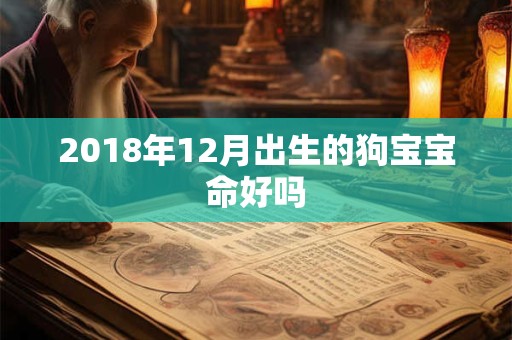 2018年12月出生的狗宝宝命好吗