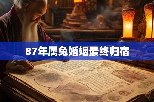 87年属兔婚姻最终归宿