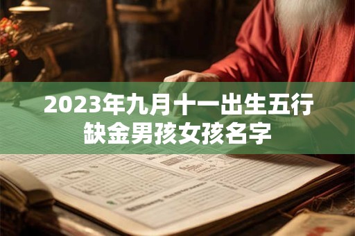 2023年九月十一出生五行缺金男孩女孩名字