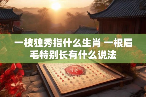 一枝独秀指什么生肖 一根眉毛特别长有什么说法