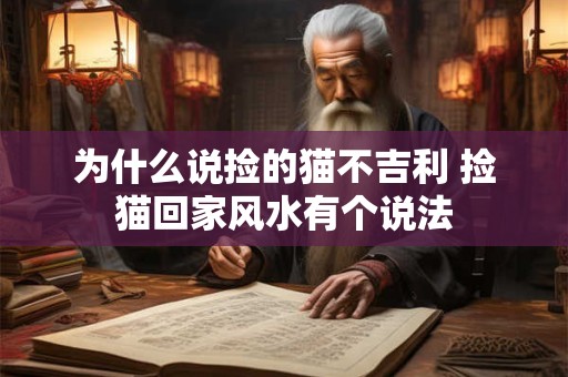 为什么说捡的猫不吉利 捡猫回家风水有个说法