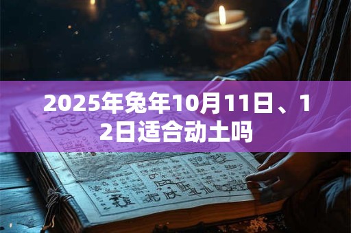 2025年兔年10月11日、12日适合动土吗