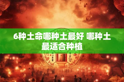6种土命哪种土最好 哪种土最适合种植