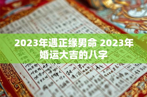 2023年遇正缘男命 2023年婚运大吉的八字