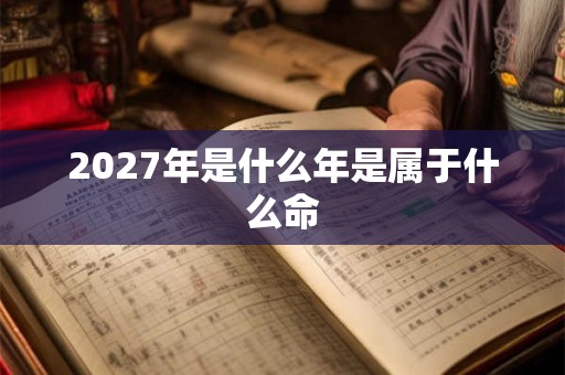 2027年是什么年是属于什么命